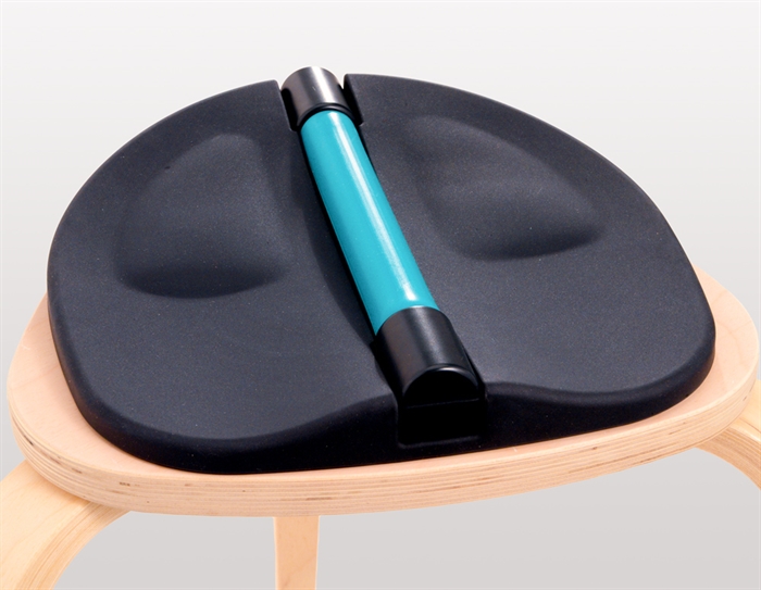 Alonea PelvicTool Home & Sport